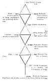 Chart of the Sephiroth