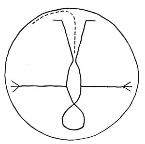 FIGURE REPRESENTING TAMAIAWOT, THE EARTH, THE MOTHER OF ALL.<BR>
Drawn by Pachito, Luiseño of Pauma.