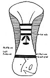 PLATE IV. Left Footprint